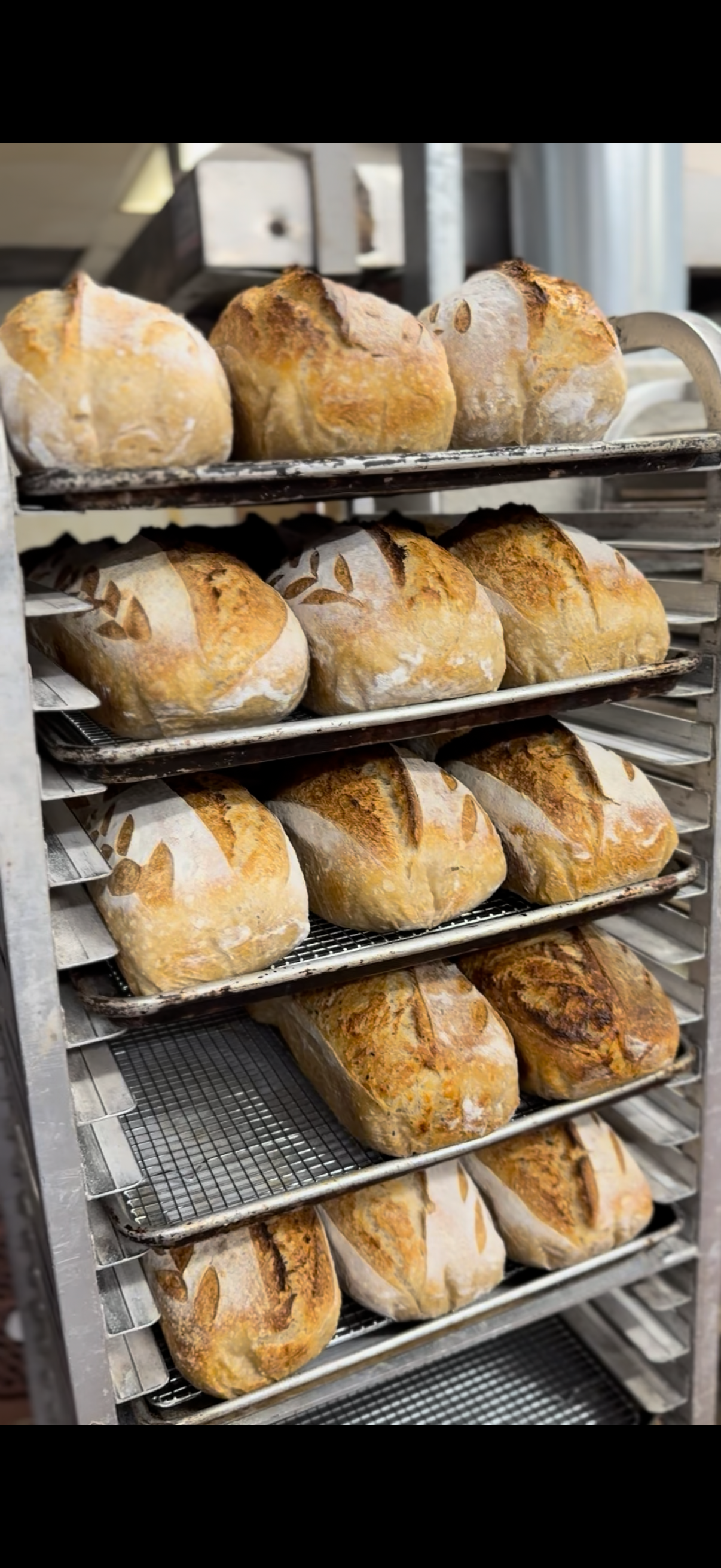 Organic Sourdough Sandwich Loaf