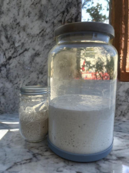 Sourdough Starter – 50g